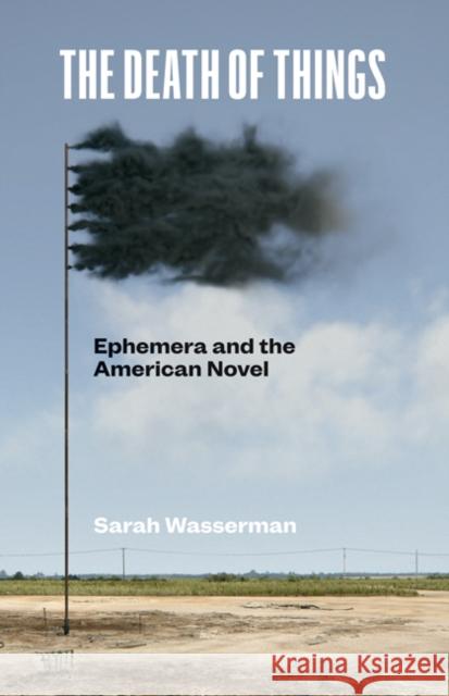 The Death of Things: Ephemera and the American Novel Sarah Wasserman 9781517909772 University of Minnesota Press - książka