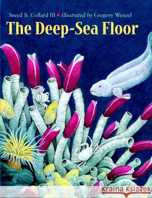 The Deep-Sea Floor Sneed B., III Collard Gregory C. Wenzel 9781570914034 Charlesbridge Publishing,U.S. - książka