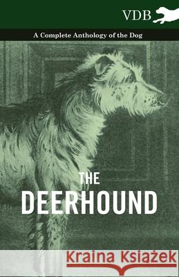 The Deerhound - A Complete Anthology of the Dog Various 9781445525938 Vintage Dog Books - książka