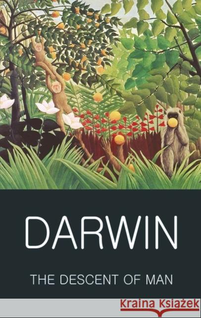 The Descent of Man Darwin Charles 9781840226980 Wordsworth Editions Ltd - książka