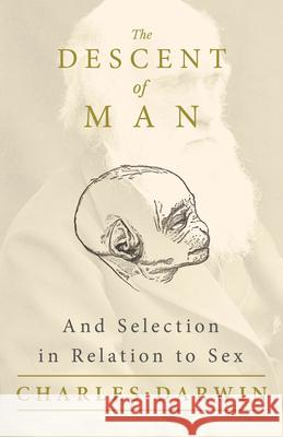 The Descent of Man - And Selection in Relation to Sex Charles Darwin 9781528716970 Read & Co. Books - książka