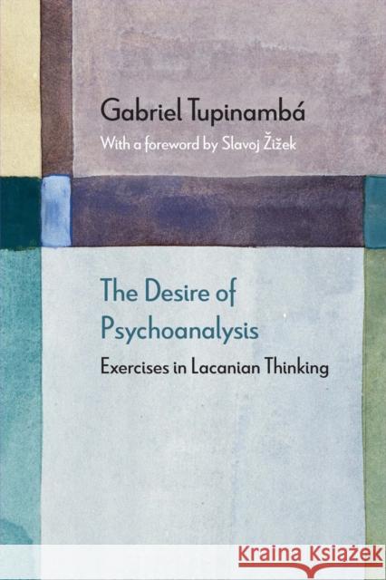 The Desire of Psychoanalysis: Exercises in Lacanian Thinking Tupinambá, Gabriel 9780810142817 Northwestern University Press - książka