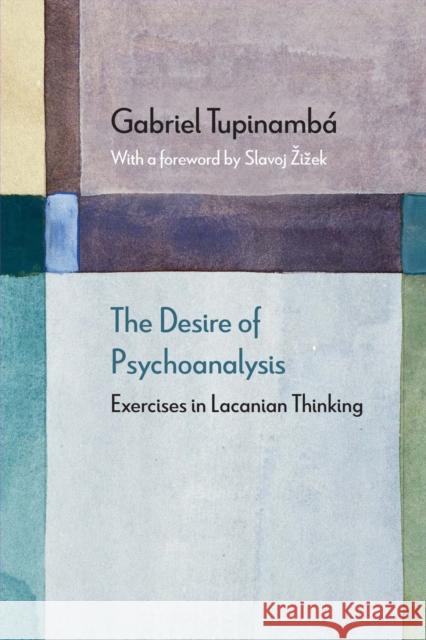 The Desire of Psychoanalysis: Exercises in Lacanian Thinking Tupinamb Slavoj Zizek 9780810142824 Northwestern University Press - książka