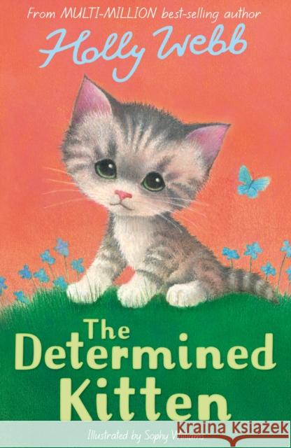 The Determined Kitten Holly Webb 9781788956505 Little Tiger Press Group - książka