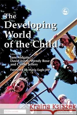 The Developing World of the Child Jane Aldgate 9781843102441  - książka