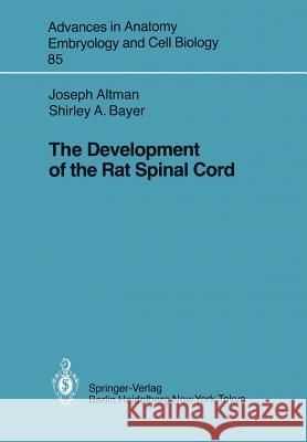 The Development of the Rat Spinal Cord Joseph Altman Shirley A. Bayer 9783540131199 Springer - książka