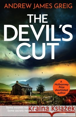 The Devil's Cut Andrew James Greig 9781805089872 Storm Publishing Ltd - książka