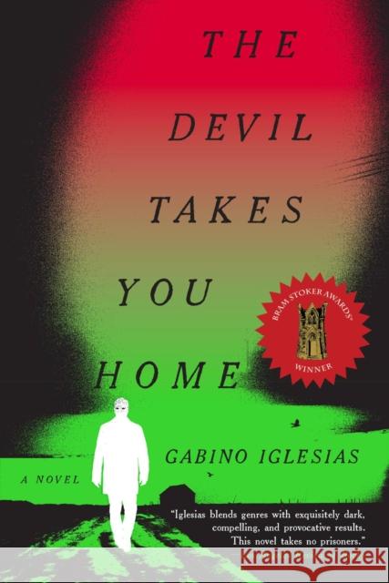 The Devil Takes You Home : A Novel  9780316426718 Mulholland Books - książka