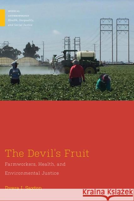 The Devil's Fruit: Farmworkers, Health, and Environmental Justice Saxton, Dvera I. 9780813598611 Rutgers University Press - książka