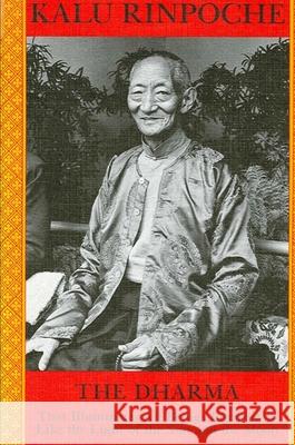 The Dharma: That Illuminates All Beings Impartially Like the Light of the Sun and Moon Rinpoche Kalu Karma-Ran-Byun-                          Kalu Rinpoche 9780887061578 State University of New York Press - książka