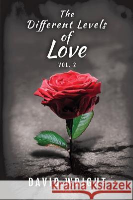 The Different Levels of Love, Volume 2 David Wright 9781946818126 Dips Publishing - książka