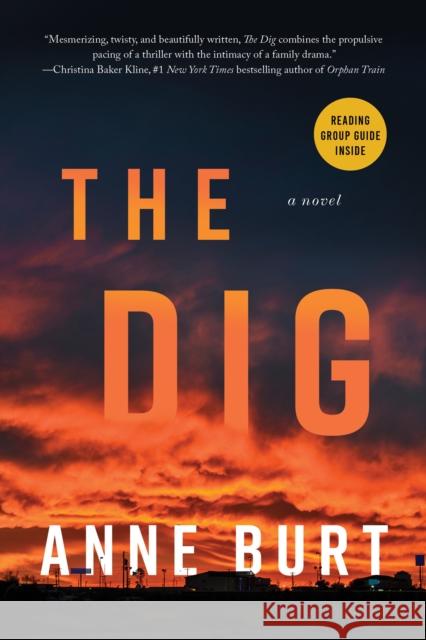 The Dig: A Novel Anne Burt 9781640096479 Counterpoint - książka