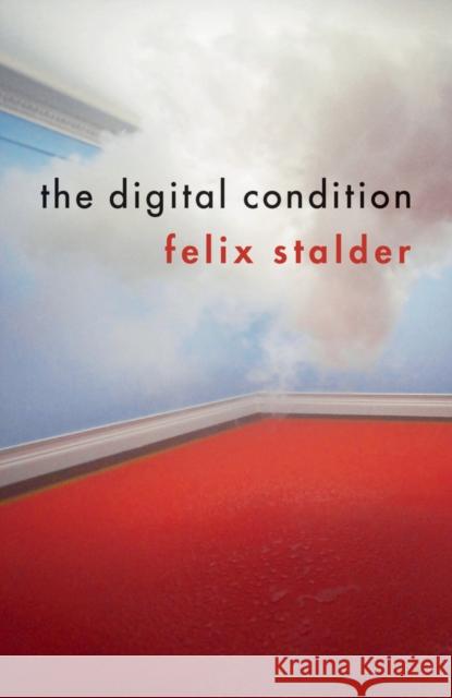 The Digital Condition Felix Stalder 9781509519590 Polity Press - książka