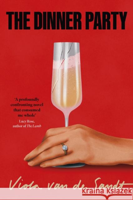 The Dinner Party: 'Tender, astonishing and unflinching' (Lucy Rose) Viola van de Sandt 9781035429844 Headline Publishing Group - książka