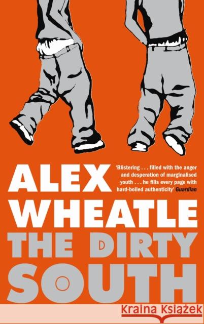 The Dirty South Alex Wheatle 9781846686573 Profile Books Ltd - książka