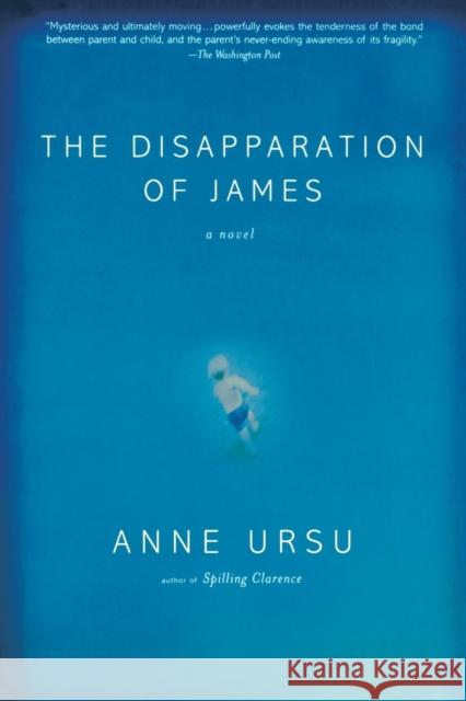 The Disapparation of James Anne Ursu 9780786886630 Theia - książka