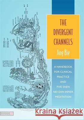 The Divergent Channels - Jing Bie: A Handbook for Clinical Practice and Five Shen Nei Dan Inner Meditation David Twicken 9781848191891 Jessica Kingsley Publishers - książka