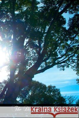 The Divine Motherhood Anscar Vonie 9781466383449 Createspace - książka