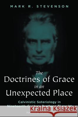 The Doctrines of Grace in an Unexpected Place Mark R. Stevenson Tim Grass 9781498281096 Pickwick Publications - książka