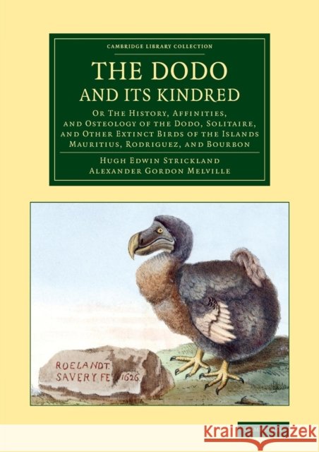 The Dodo and Its Kindred: Or the History, Affinities, and Osteology of the Dodo, Solitaire, and Other Extinct Birds of the Islands Mauritius, Ro Strickland, Hugh Edwin 9781108078313 Cambridge University Press - książka