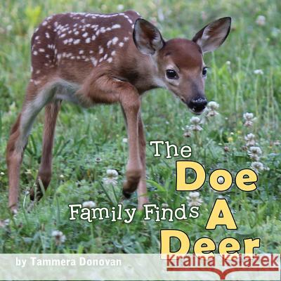 The Doe Family Finds a Deer Tammera Donovan Lynn Beme Jennifer Tipton Cappoen 9780984672462 PC Kids - książka