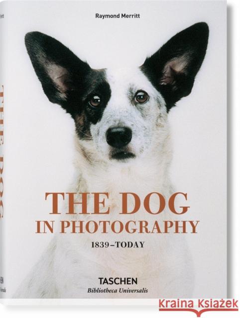 The Dog in Photography 1839-Today Miles Barth Raymond Merritt 9783836567473 Taschen - książka