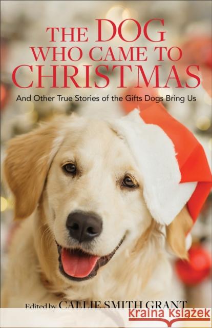 The Dog Who Came to Christmas – And Other True Stories of the Gifts Dogs Bring Us Callie Smith Grant 9780800737924 Baker Publishing Group - książka