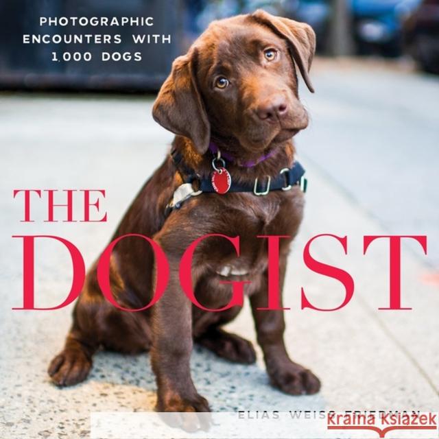 The Dogist: Photographic Encounters with 1,000 Dogs Elias Weiss Friedman 9781579656713 Artisan Publishers - książka