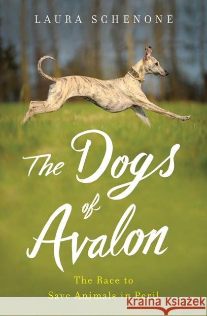 The Dogs of Avalon: The Race to Save Animals in Peril Laura Schenone 9780393073584 W. W. Norton & Company - książka