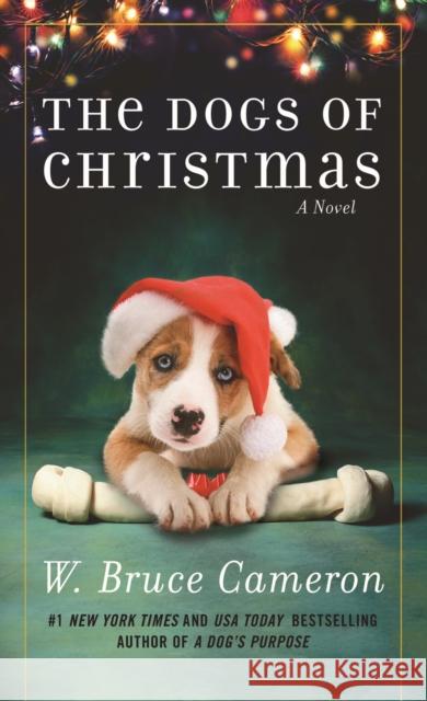 The Dogs of Christmas: A Novel W. Bruce Cameron 9781250620606 Forge - książka