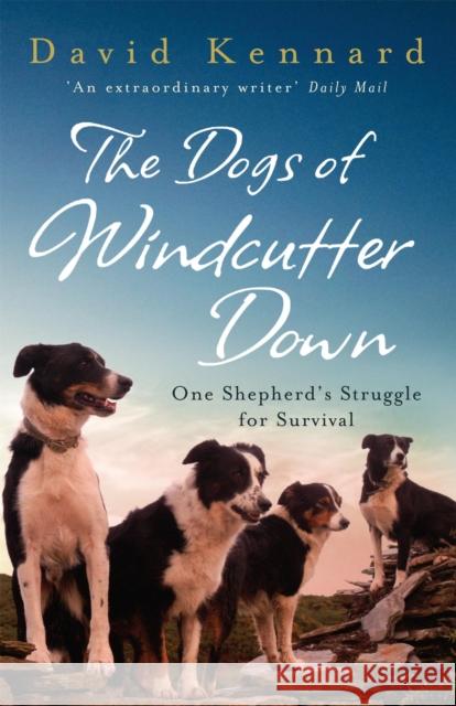 The Dogs of Windcutter Down David Kennard 9780755312573  - książka