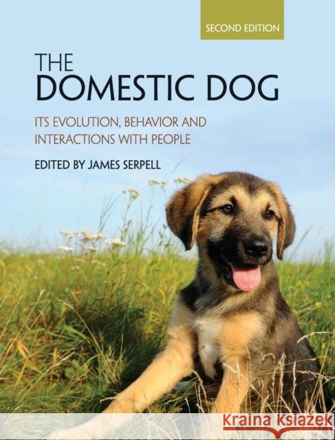 The Domestic Dog: Its Evolution, Behavior and Interactions with People Serpell, James 9781107024144 Cambridge University Press - książka