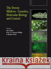 The Downy Mildews - Genetics, Molecular Biology and Control Ales Lebeda Peter T. N. Spencer-Phillips B. Michael Cooke 9789048180394 Springer - książka