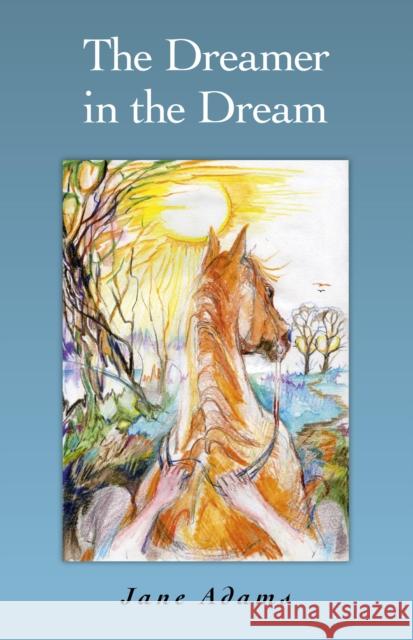 The Dreamer in the Dream Jane Adams 9781846949821 John Hunt O Books - książka