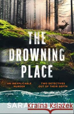 The Drowning Place Sarah Hilary 9781787305397 Vintage Publishing - książka