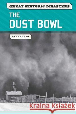 The Dust Bowl, Updated Edition Reis, Ronald 9798887253305 Chelsea House Publications - książka