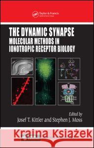 The Dynamic Synapse: Molecular Methods in Ionotropic Receptor Biology Kittler, Josef T. 9780849318917 CRC - książka