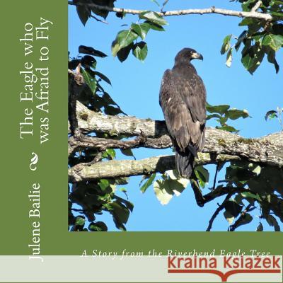 The Eagle who was Afraid to Fly Bailie, Julene 9780692909461 Julene Bailie - książka