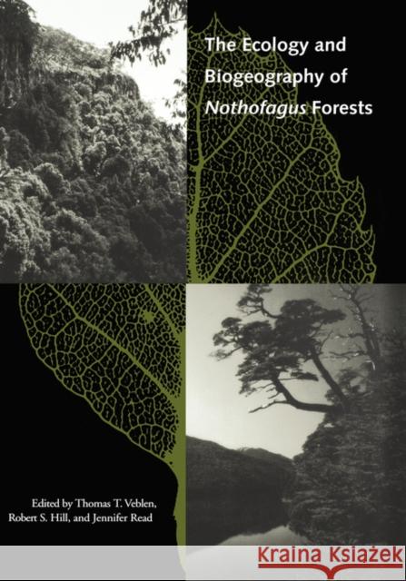 The Ecology and Biogeography of Nothofagus Forests Thomas T. Veblen Jennifer Read Robert S. Hill 9780300064230 Yale University Press - książka