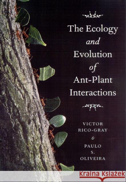 The Ecology and Evolution of Ant-Plant Interactions Victor Rico-Gray Paulo S. Oliveira 9780226713489 University of Chicago Press - książka
