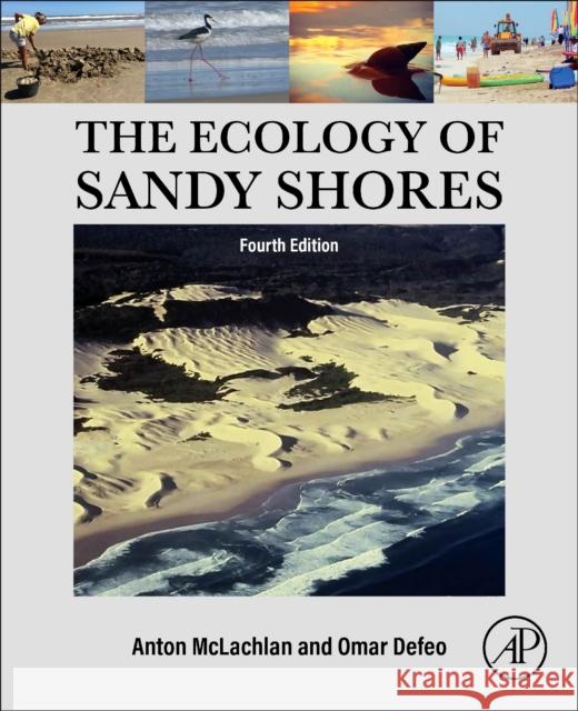 The Ecology of Sandy Shores Omar Defeo Anton McLachlan 9780443217548 Academic Press - książka