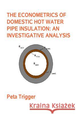 The Econometrics of Domestic Hot Water Pipe Insulation Dr Peta Trigger 9781495472008 Createspace - książka