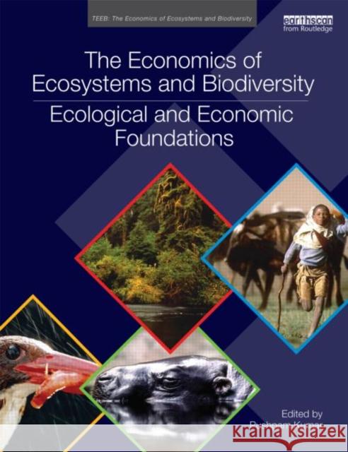 The Economics of Ecosystems and Biodiversity: Ecological and Economic Foundations Pushpam Kumar 9780415501088 Routledge - książka