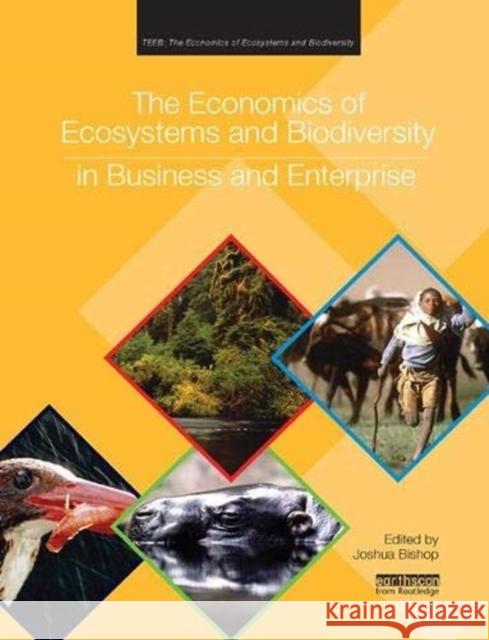 The Economics of Ecosystems and Biodiversity in Business and Enterprise  9781138380141 Taylor and Francis - książka