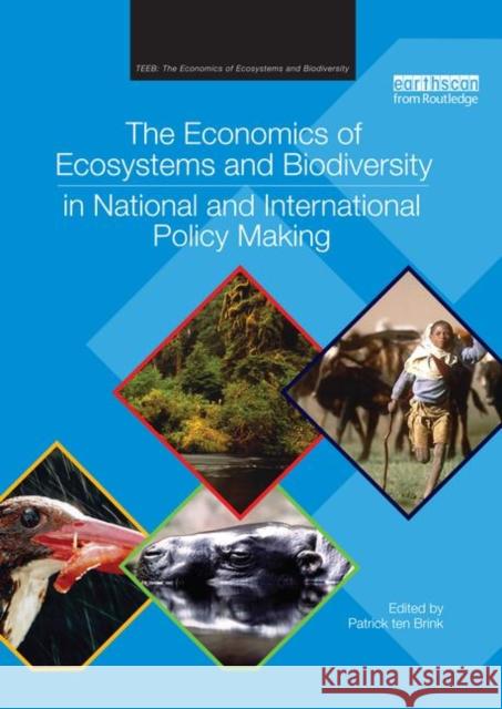 The Economics of Ecosystems and Biodiversity in National and International Policy Making Patrick Te 9781138327900 Routledge - książka