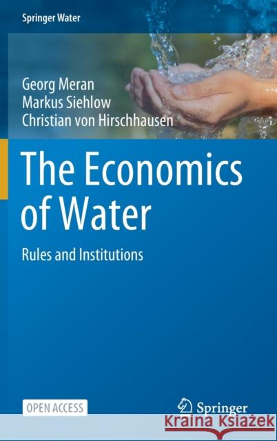 The Economics of Water: Rules and Institutions Meran, Georg 9783030484842 Springer - książka