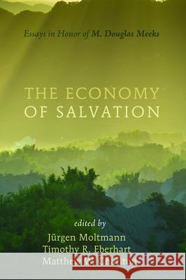 The Economy of Salvation Jurgen Moltmann Timothy R. Eberhart Matthew W. Charlton 9781620326282 Cascade Books - książka