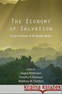 The Economy of Salvation: Essays in Honour of M. Douglas Meeks Jurgen Moltmann Timothy R. Eberhart Matthew Charlton 9780227175859 James Clarke Company - książka