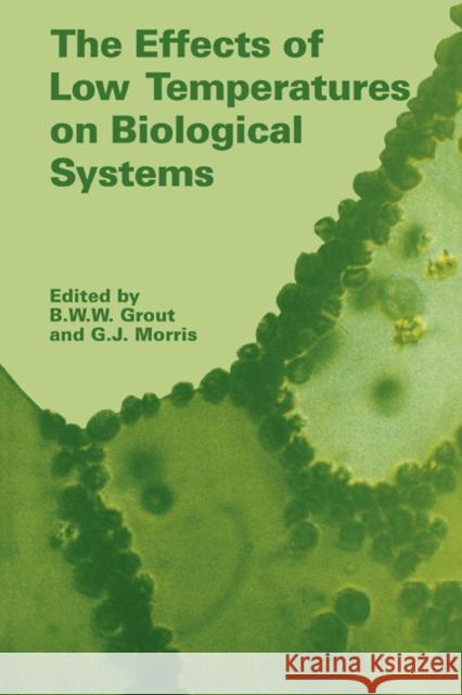 The Effects of Low Temperature on Biological Systems B. W. W. Grout G. J. Morris 9780521105767 Cambridge University Press - książka