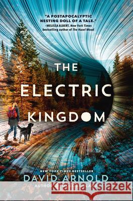 The Electric Kingdom David Arnold 9780593202227 Viking Books for Young Readers - książka